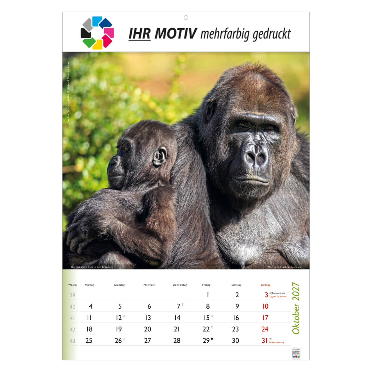 /customers_pics/593/artikel/1112113190/Wunderbare Tiere_2027_213-2027_IhreWerbung_10.jpg